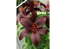 26,21���. ����� �������(�������� ���� �� 7 ��., ����������� ����� 1��.)���15.jpg