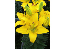 24,44���. ����� ������� ����(�������� ���� �� 5 ��., ����������� ����� 1��.)���16.jpg