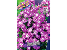 51,17���. ����� ���� ���(�������� ���� �� 3 ��., ����������� ����� 1��.).jpg