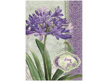 ������-������� �5 120�. ��������� ������, ������ �� �����, �������� ������� 175,20.jpg