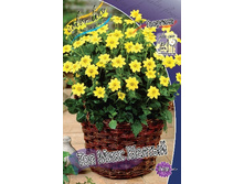 70,9���. �������� ��� ���� ������(�������� ���� �� 1 ��., ����������� ����� 1��.).jpg