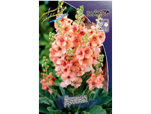 183,3���. ��������� �����(�������� ���� �� 1 ��., ����������� ����� 1��.).jpg