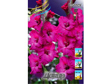 8,18���. ��������� �����(���������� ������ ������ ���������� �� 8 ��.).jpg