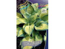 118,6���. ����� ���� �����(�������� ���� �� 1 ��., ����������� ����� 1��.).jpg