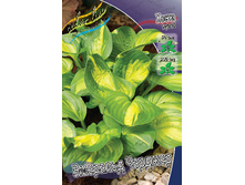 221,5���. ����� �������� �������(�������� ���� �� 1 ��., ����������� ����� 1��.)���15.jpg