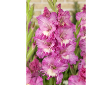 9,83���. ��������� �����(���������� ������ ������ ���������� �� 8 ��.)���15.jpg