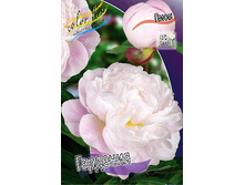 345,9���. ���� ��������(�������� ���� �� 1 ��., ����������� ����� 1��.).jpg