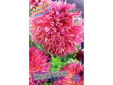 84,8���. �������� ����� �����(�������� ���� �� 1 ��., ����������� ����� 1��.).jpg