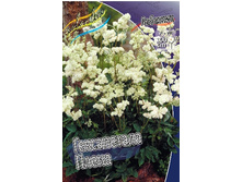 118,6���. �������� ����������� �����(�������� ���� �� 1 ��., ����������� ����� 1��.).jpg