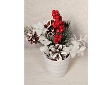 ���25/1-3 ����������