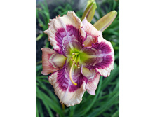 196,6���. �������� ���� �����(�������� ���� �� 1 ��., ����������� ����� 1��.)���16.jpg