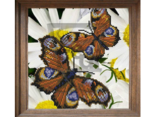 �������� ����_�315