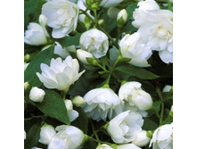 139���. �������� ����������� ������.jpg