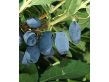 192���. ��������� ���������� ����������.jpg