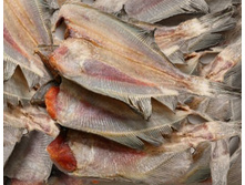 �������-��� ������� (��� �����)