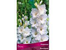 ��������� ���������.jpg