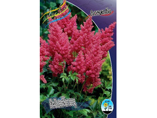 67,6���. �������� �����(�������� ���� �� 1 ��., ����������� ����� 1��.).jpg