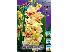 10,09���. ��������� �������(���������� ������ ������ ���������� �� 7 ��.).jpg