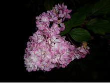 ������� ����� 2014