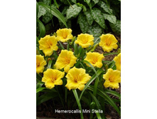 56,85���. �������� ���� ������(�������� ���� �� 2 ��., ����������� ����� 1��.)���16.jpg