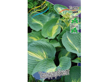 196,6���. ����� ����������(�������� ���� �� 1 ��., ����������� ����� 1��.).jpg