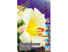 43,44���. ����� ���� ������(�������� ���� �� 5 ��., ����������� ����� 1��.).jpg