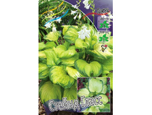 163,4���. ����� ������ �����(�������� ���� �� 1 ��., ����������� ����� 1��.).jpg