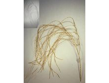 11/0268� �����