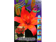 21,9���. ����� �������(�������� ���� �� 7 ��., ����������� ����� 1��.).jpg