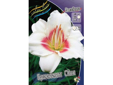 105,4���. �������� ��������� ���(�������� ���� �� 1 ��., ����������� ����� 1��.).jpg