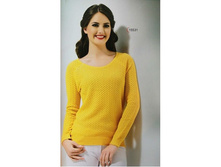 15531 1100 ���