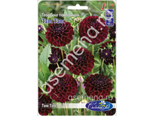 ��� ���.jpg