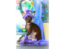 ���� ����� ����