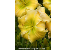 105,4���. �������� ������ ��� ����(�������� ���� �� 1 ��., ����������� ����� 1��.).jpg