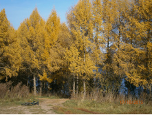 ������ �������