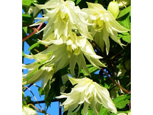 245���. �������� ����� ����.jpg