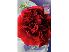 636,1���. ���� �����(�������� ���� �� 1 ��., ����������� ����� 1��.).jpg