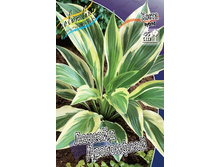 163,4���. ����� �������� ����������(�������� ���� �� 1 ��., ����������� ����� 1��.).jpg