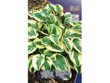 75,1���. ����� ���� ����(�������� ���� �� 2 ��., ����������� ����� 1��.).jpg