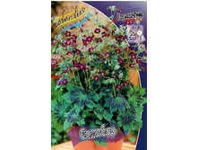 83,8���. �������� �������(�������� ���� �� 1 ��., ����������� ����� 1��.).jpg