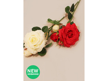 401/0001� ���� �����