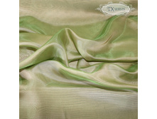 F11 �����.jpg