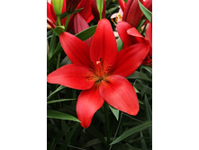 23,56���. ����� ���������(�������� ���� �� 5 ��., ����������� ����� 1��.).jpg