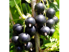 147���. ��������� ޣ���� ������.jpg