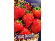 47,28���. ��������� ������� ���� ������(���������� ������ ������ ���������� �� 5 ��.).jpg