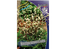 88,8���. �������� �������������(�������� ���� �� 1 ��., ����������� ����� 1��.).jpg