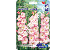 ����� �� �������.jpg