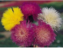 ����̣� �������� 0,5�� 9.jpg