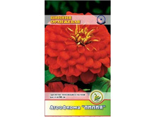 ������ ��������� ���������� 	0,25	7,00 ���.