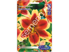 ��� ����.jpg